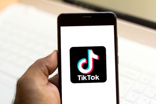 Tiktok Users Record Polar Technology Exploration, Climate Solutions 