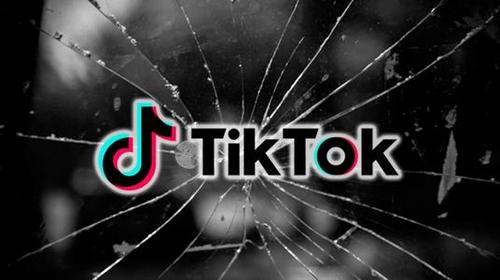 TikTok And The Science Of Kimchi 